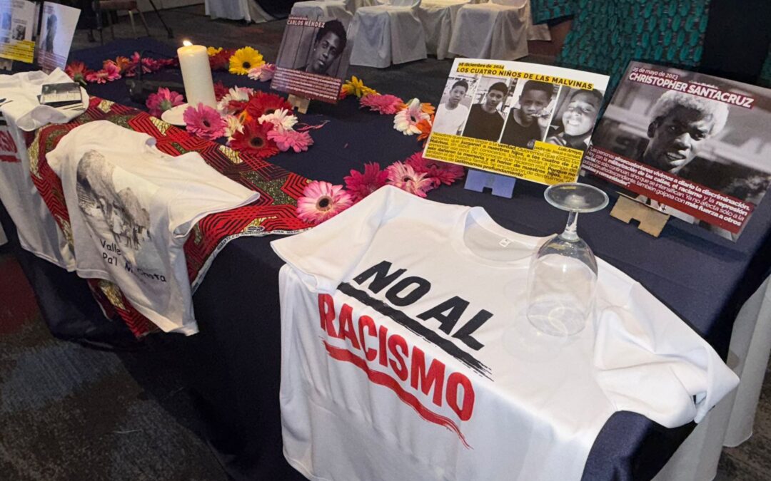 Que todo el mundo se entere | Nuestras denuncias sobre racismo estructural y perfilamiento racial llegan ante la CIDH